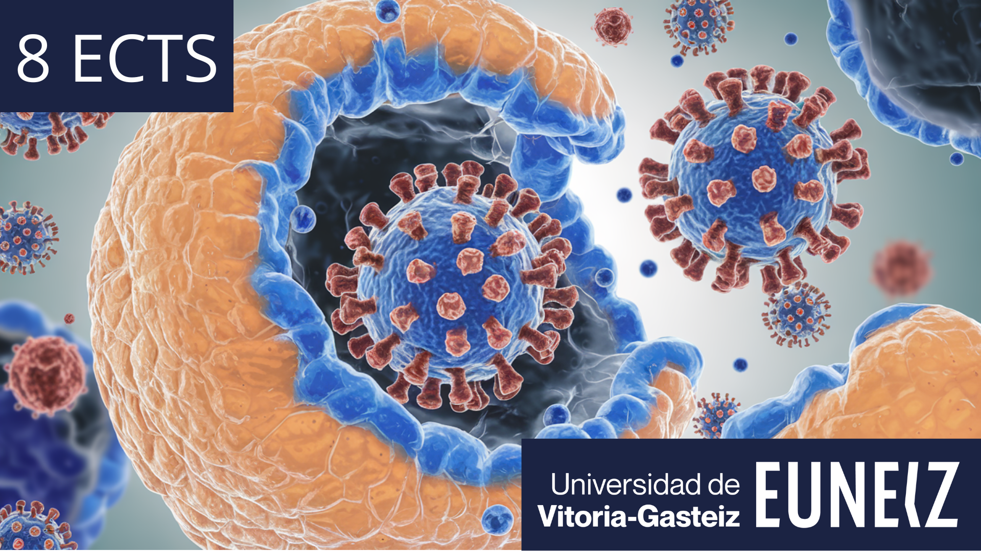Estructura, función y fisiopatología del sistema inmune